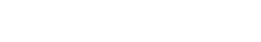 Do Ingenia - Cabinet de Conseil en Autorité Numérique