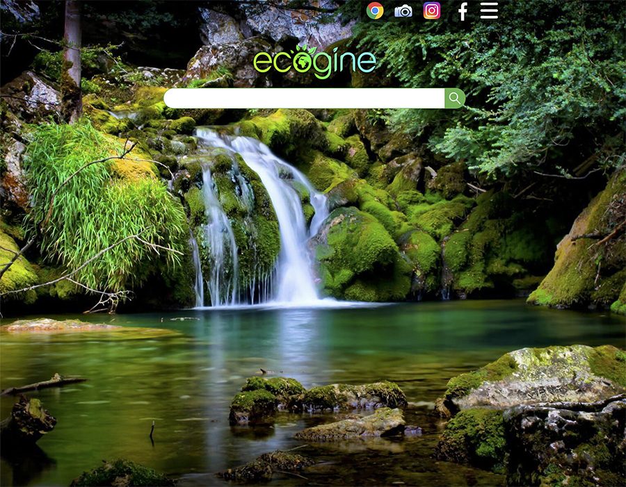 Ecogine.org : moteur de recherche associatif