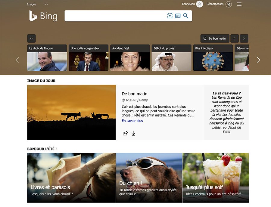 Bing : le moteur de recherche de Microsoft
