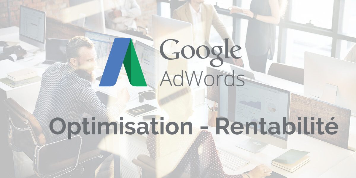 Référencement Google Adwords Optimisation et Rentabilité Référencement Google Adwords Optimisation et Rentabilité